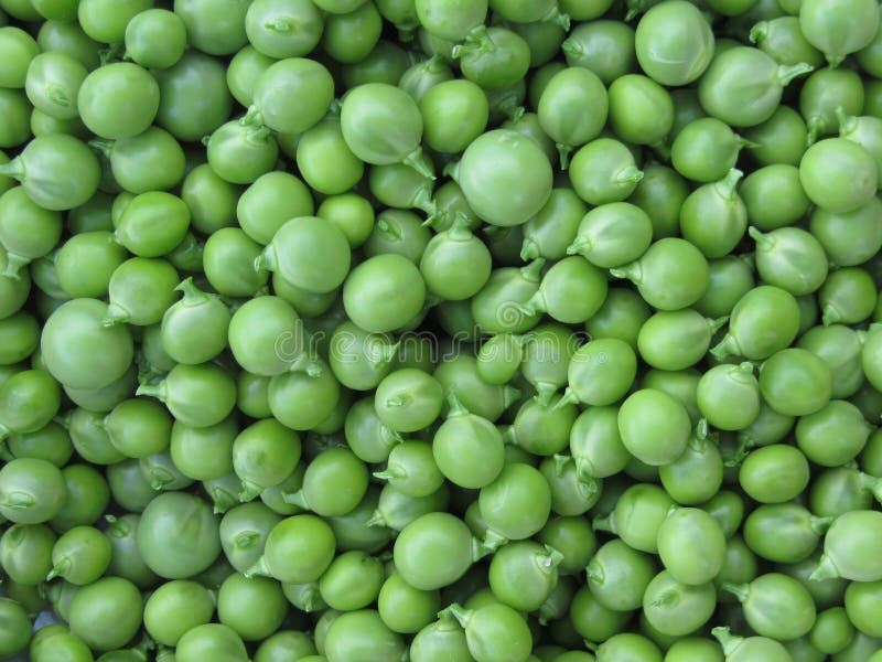 Green pea background . Texture of ripe green peas