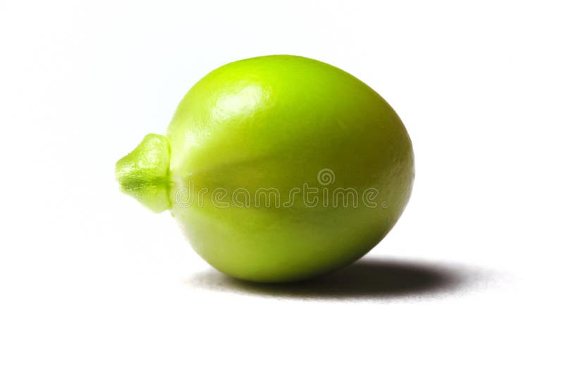 Green pea isolated on white