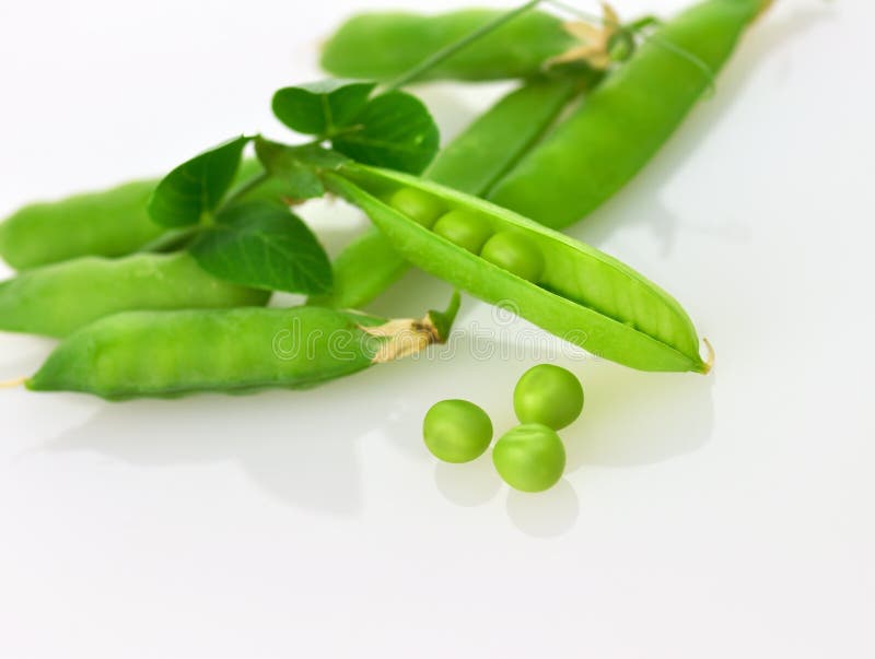 Green pea pods stock image. Image of freshness, seed 20408815
