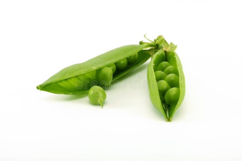 Green Peas stock image. Image of garden, grains, season 14894465