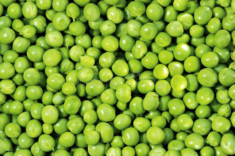 Green peas. Frescoes green green peas and freshly reaped royalty free stock photos
