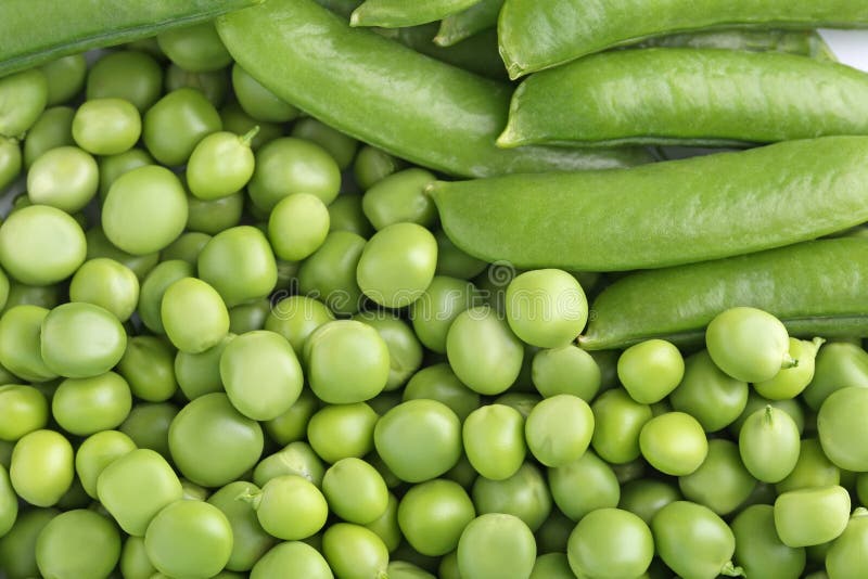 Green peas stock image. Image of closeup, lifestyle, ripe 95526717