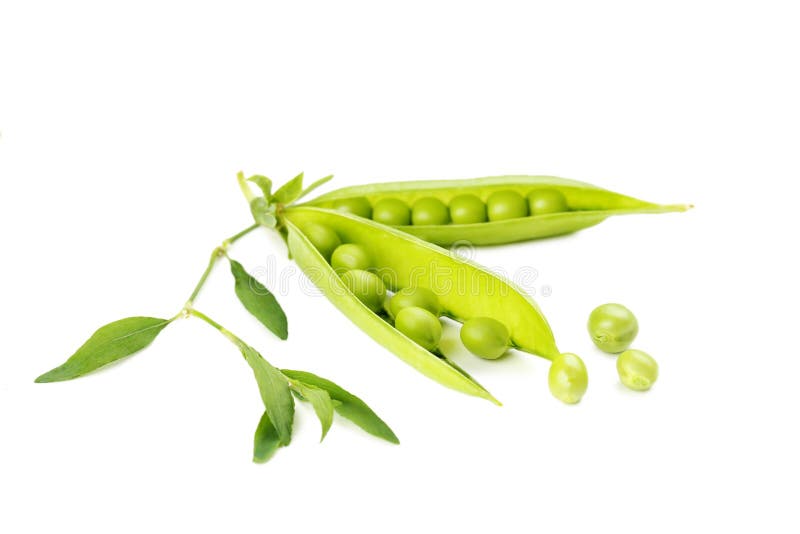 Green peas stock image. Image of harvest, macro, peas 72869397