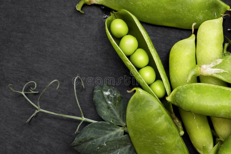 Green Peas, Pea Pods, Pea Branches with Green Leaves on Black