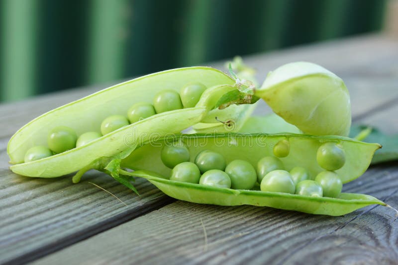 Green peas pods.