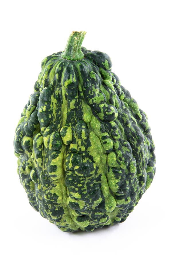 Green pebbled skin squash. stock image. Image of pebbled 16087351