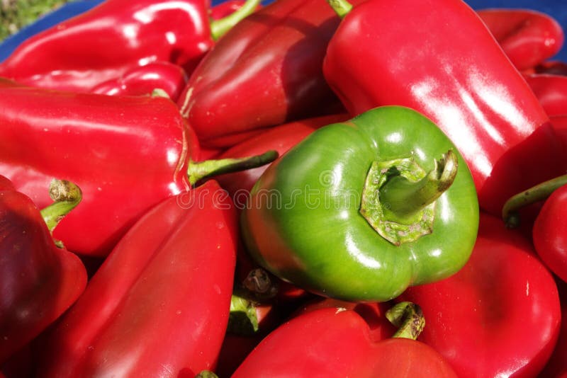 Green pepper in bunch of red