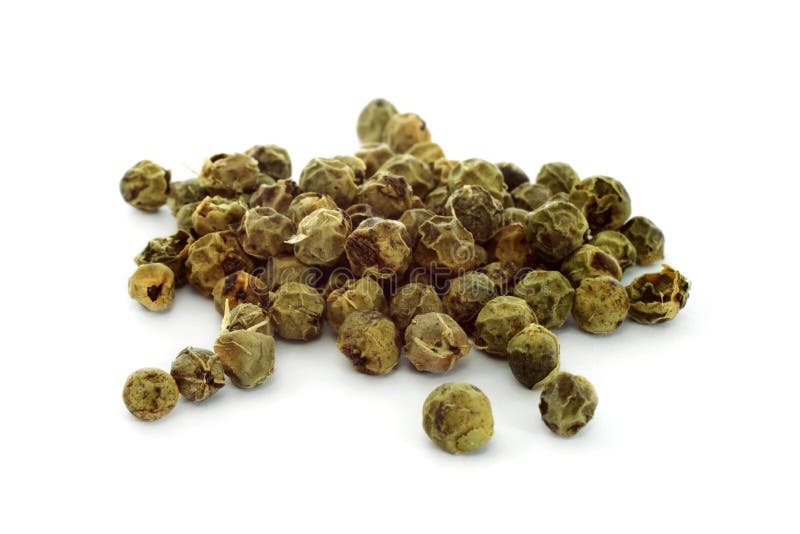 Red and Green Peppercorn Berries on Vine Isolated Stock Image Image