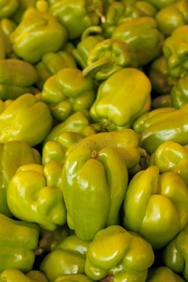 Red bell peppers stock image. Image of species, peppers 521319