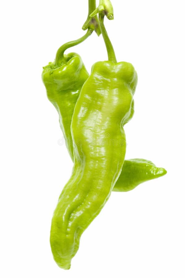 Green peppers