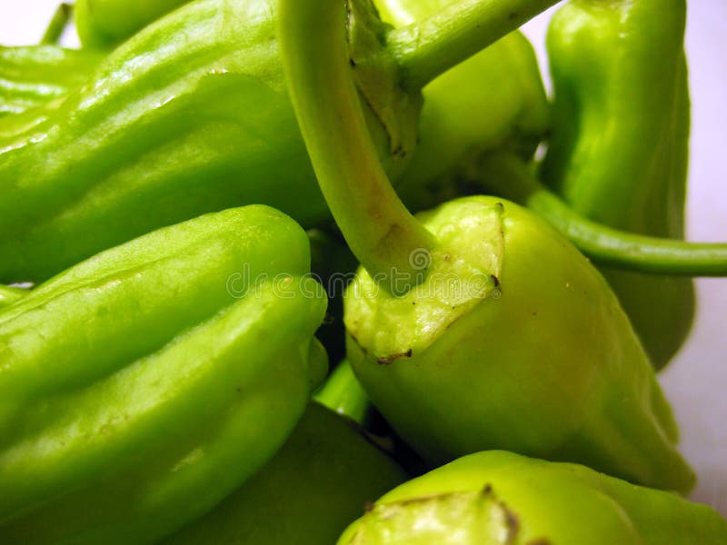 Green Peppers stock image. Image of sweet, spanish, stem 3087337