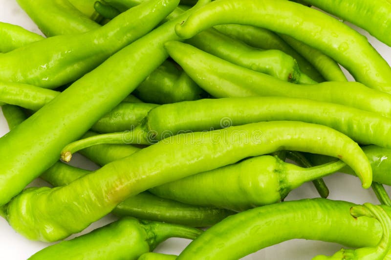 Green peppers stock image. Image of peppers, chilli, chilly 6516419