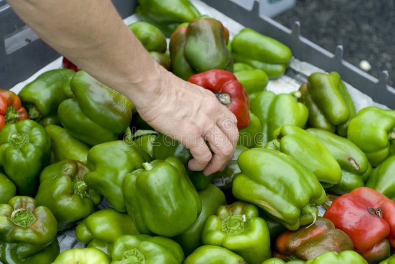 Green peppers with red