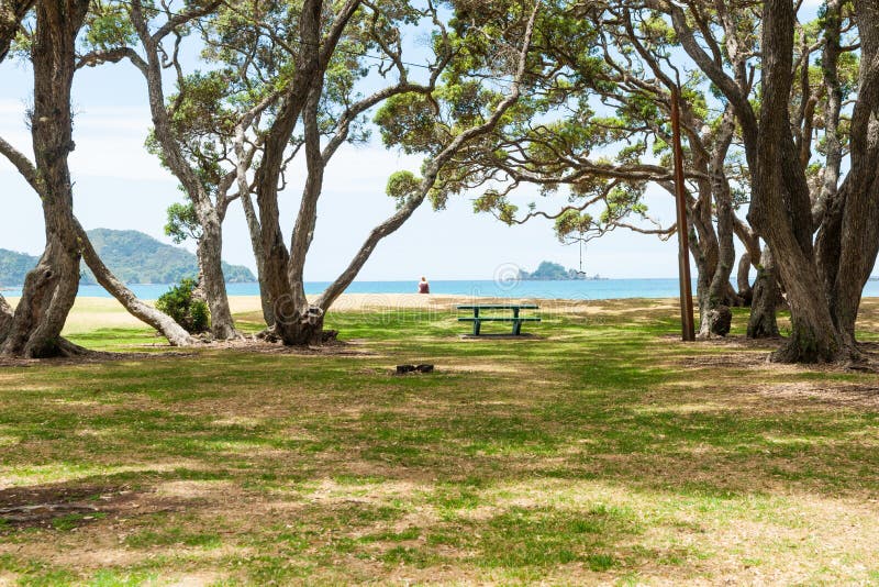 Green Picnic Table In Shade Of Large Trees By Beach 