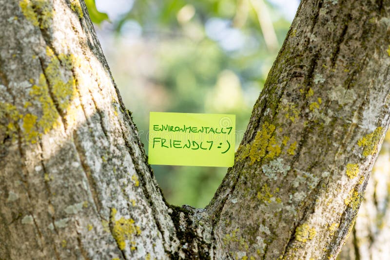 Green piece of paper reading Environmentally friendly stuck in between a tree trunk that grows in a Y shape. Reading efficiency stock images, royalty-free photos and pictures