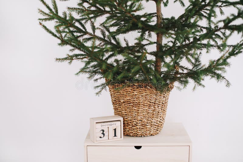 Green Pine, Christmas Tree and Wooden Calendar. a Green Fir Tree on a