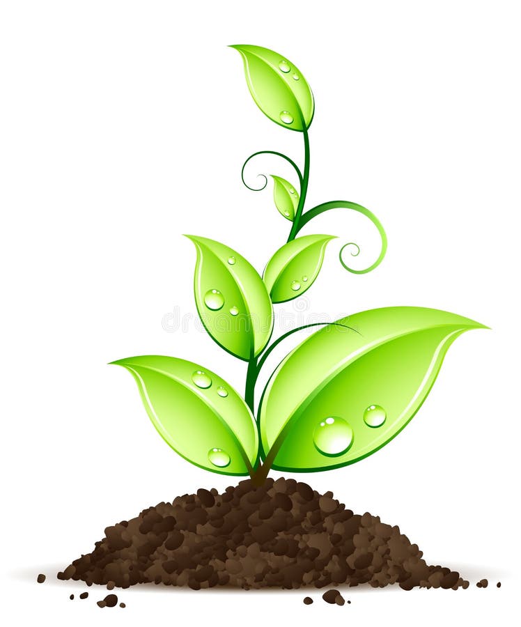 Green plant isolated on white. Green drop vectors