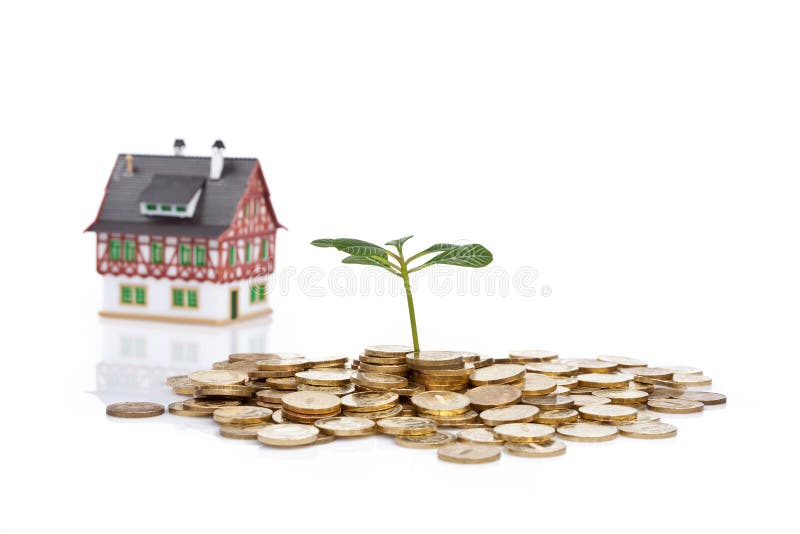 Green plant coins and little house