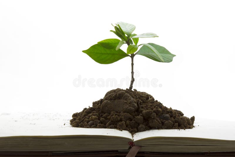 Green plant growth from book