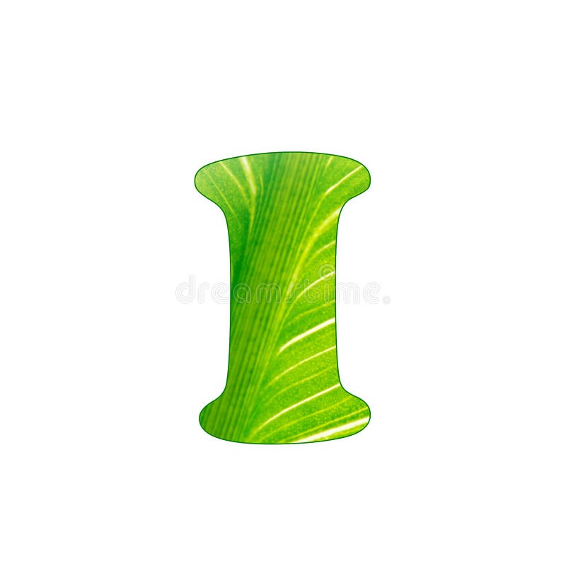The Green Plant Letter I, Letters Cut of the Background of Green Sheet