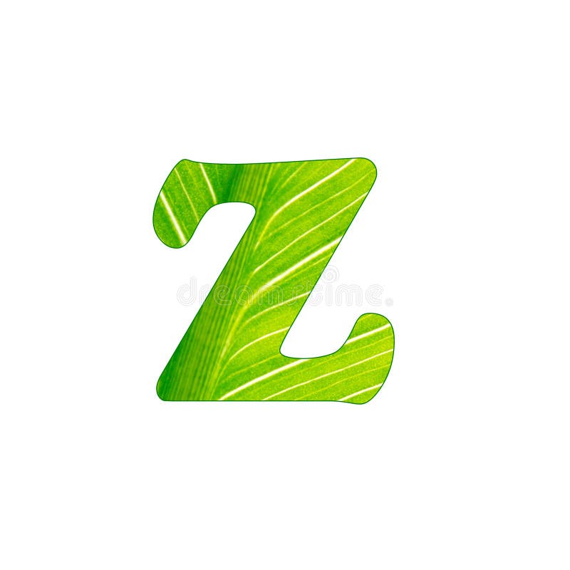 The Green Plant Alphabet , Letters Cut of the Background of Green Sheet