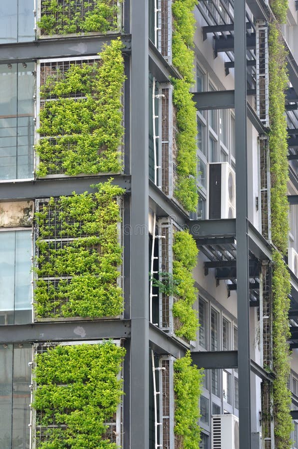 Green plant and modern building