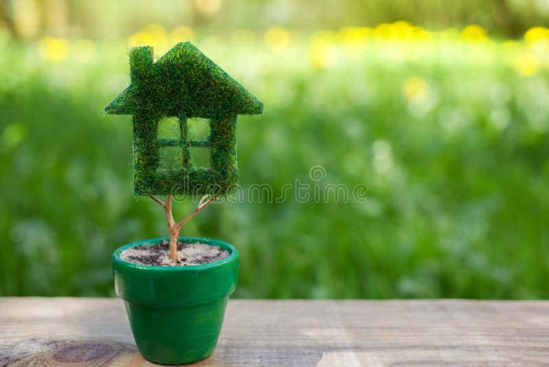 Green Plant in Pot Shaped Like House on Green Grass Background Stock Photo Image of grass