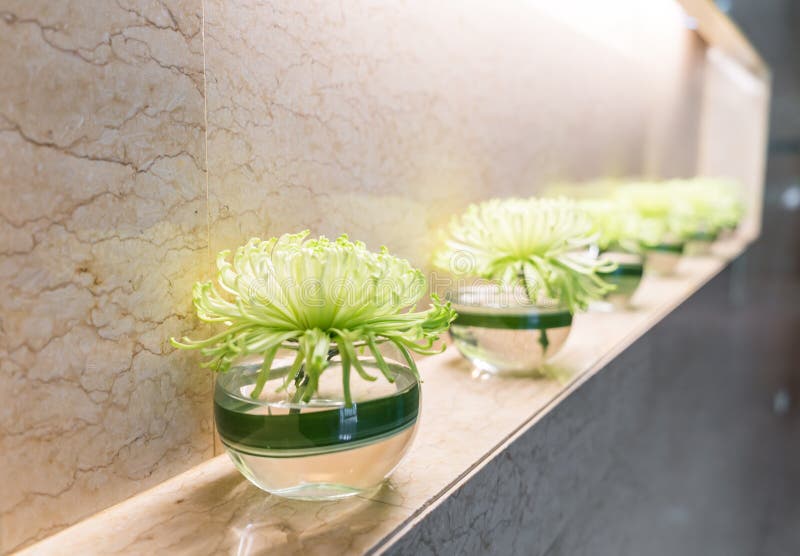 Green Plant in Vase Decorated on Wall . Stock Photo Image of nature