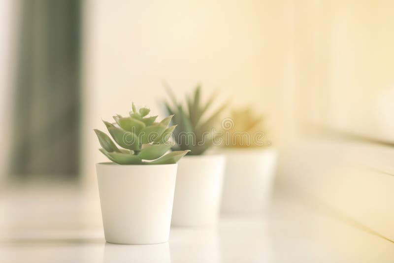 Green Plant on the Windowsill. Artificial Flower in a White Pot on the