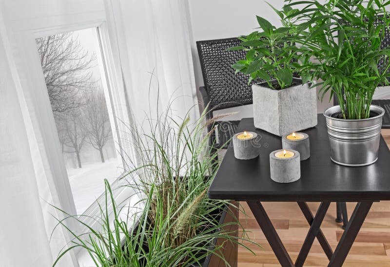 Green plants in a room, and winter landscape behind the window stock photos Green plants in a room, and winter landscape behind the window stock photos