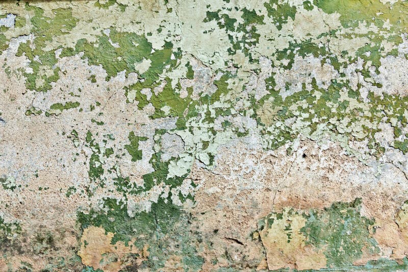 Green plaster wall stock photo Green plaster wall stock photo