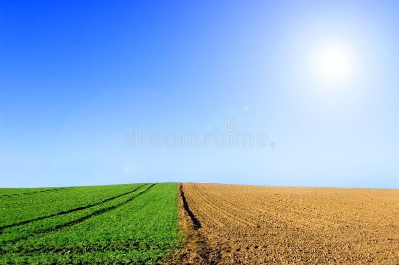 Green and plowed field conceptual image.