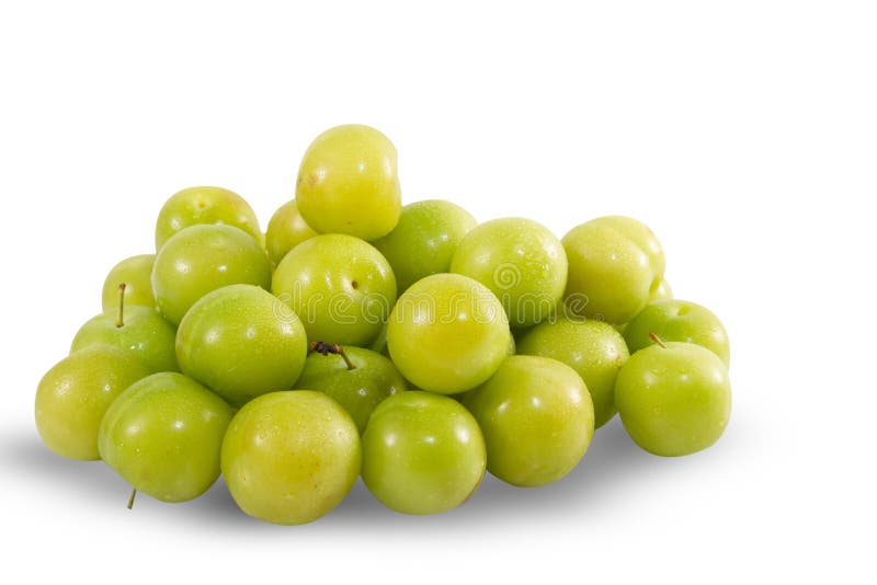 Green plum fruit stock image. Image of sweet, dessert 36023351