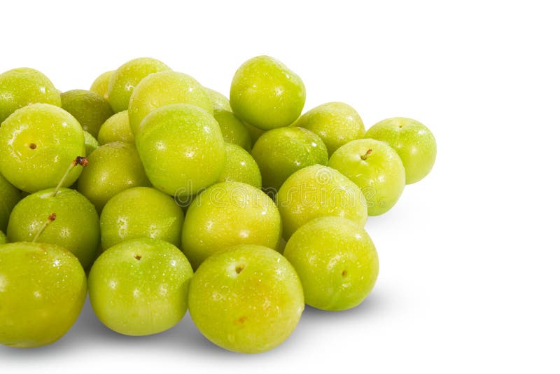 Green plum fruit stock photo. Image of agriculture, healthy 36023356