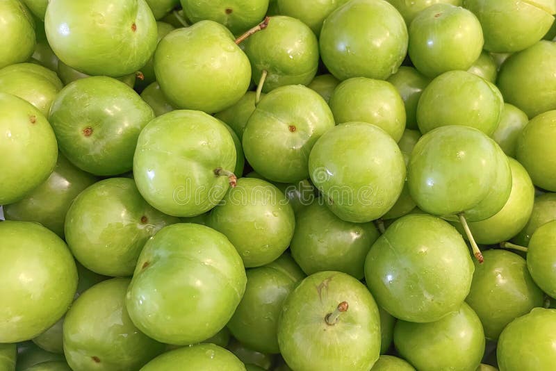 Green Plum Ready To Eat Close Up Stock Image Image of gourmet