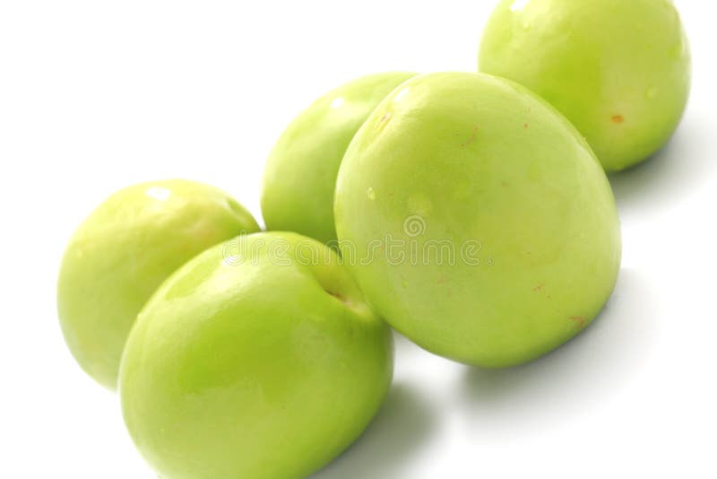 Green plum stock image. Image of group, organic, fresh 13317499