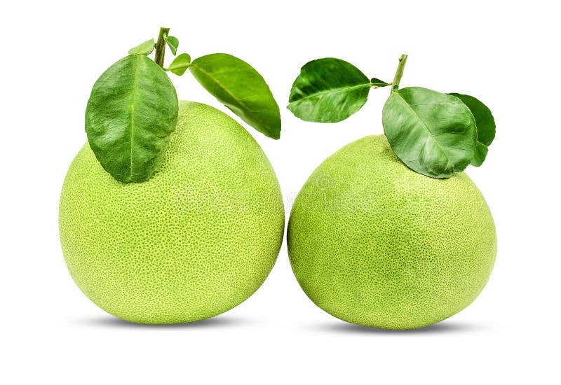 Green Pomelo Fruit with Leaves on White Background with Clipping Path
