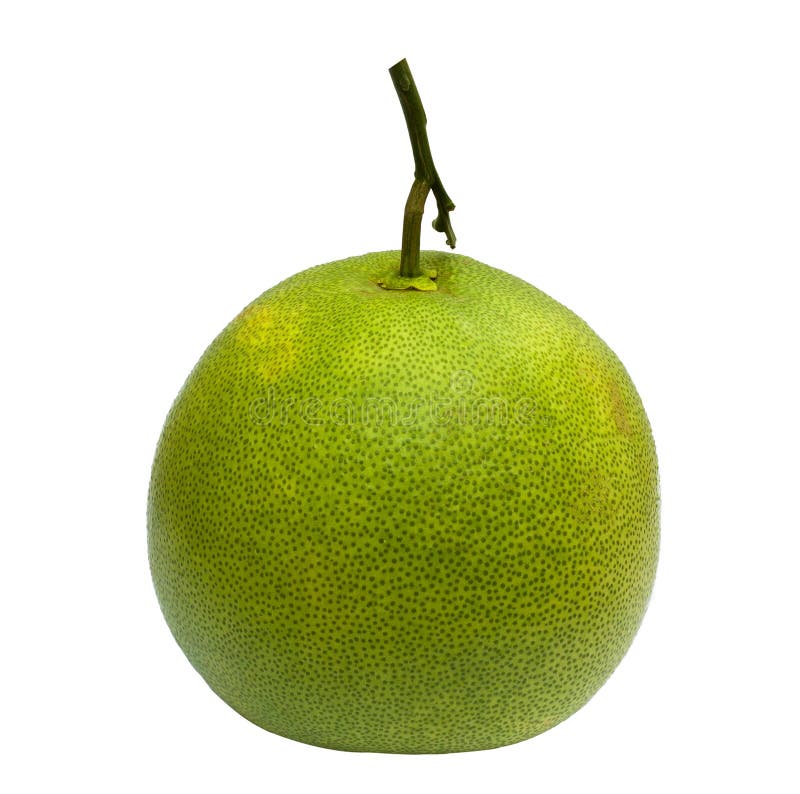 Green pomelo isolated stock photo. Image of sweet, nature 26088454