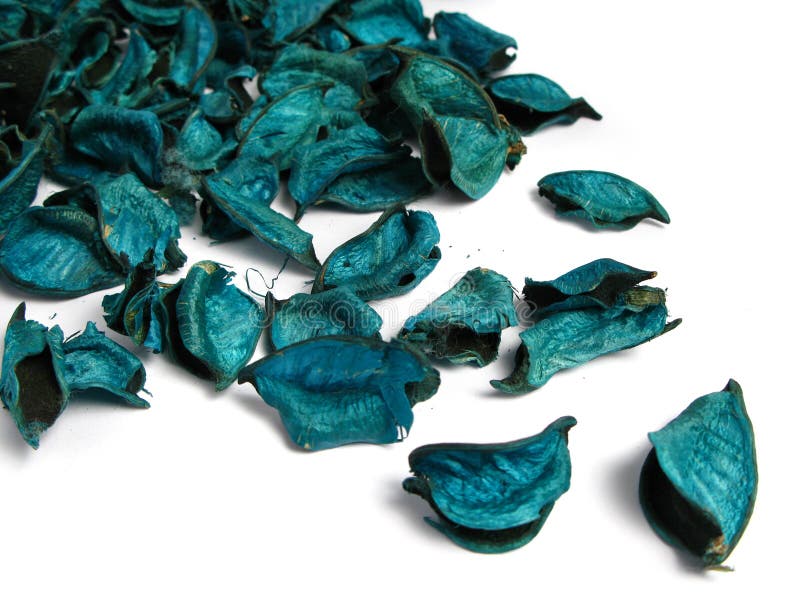 Potpourri Leaves Picture. Image 9684292