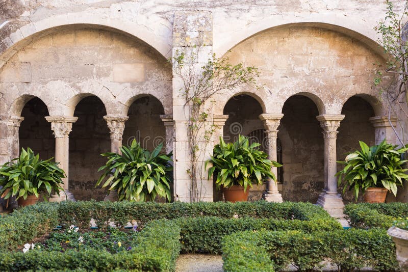 Green Potted Plants in Beautiful Pot Outdoor Stock Image Image of