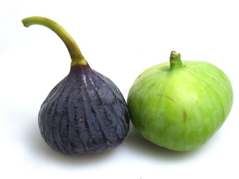 Green & purple Figs stock image. Image of garden, eden 2932059