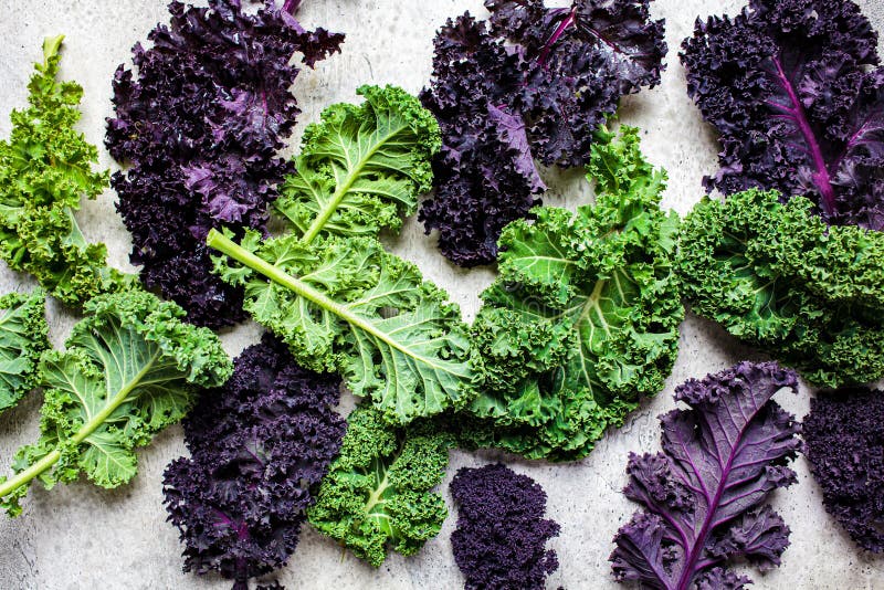 Green and Purple Kale Leaves in Plastic Containers on White Marble