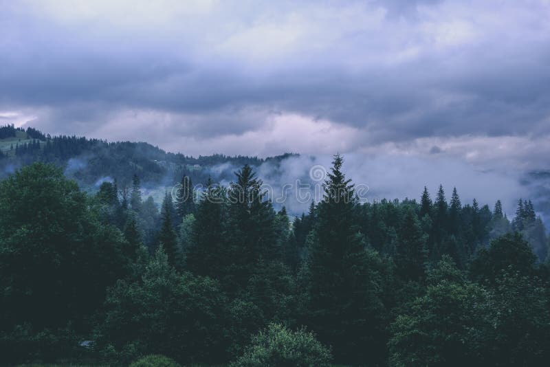 Green Mountain Forest in Cloudy and Rainy Moody Weather Stock Image