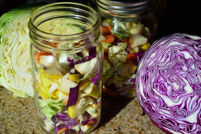 Green and Red Cabbage sliced, quart jar of ingredients for cultured fermented vegetables and fruits stock photo Green and Red Cabbage sliced, quart jar of ingredients for cultured fermented vegetables and fruits stock photo