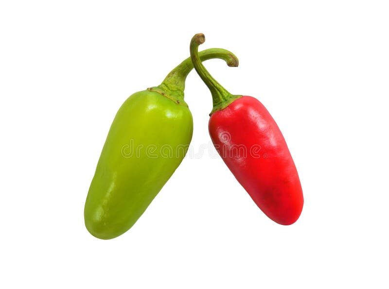 2 Green and Red Chili / Chili Pepper Stock Photo Image of juicy