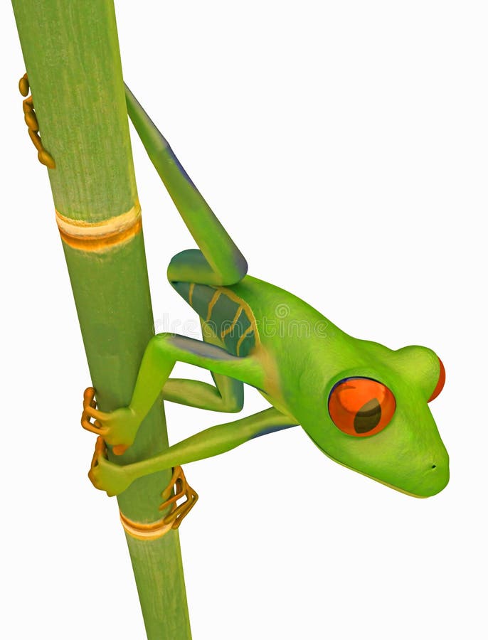 Green Red eyed tree frog on bamboo stem royalty free illustration