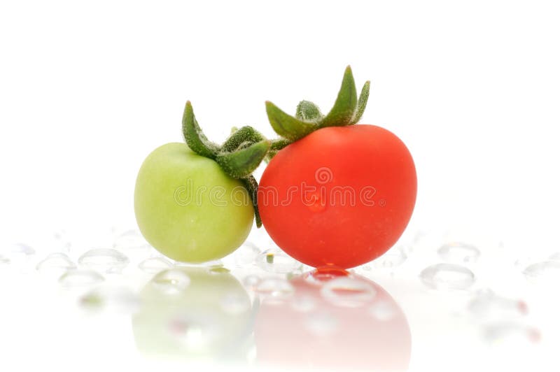 Green And Red Tomato on Water Drops