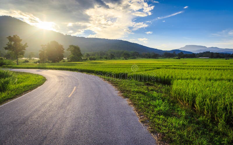 Green Rice Field with Mountains Background under Blue Sky