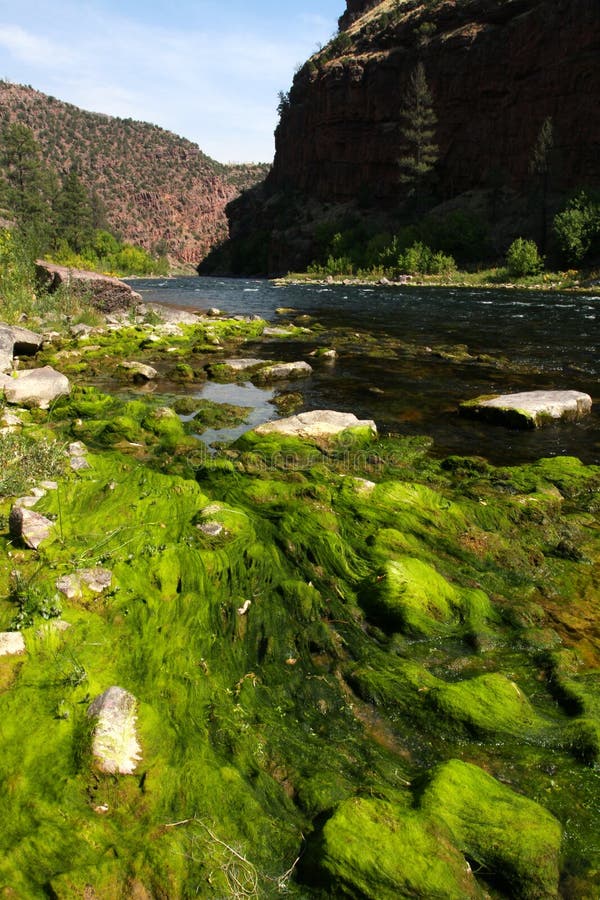 Green river in Utah stock image. Image of terrain, flaming 26731603