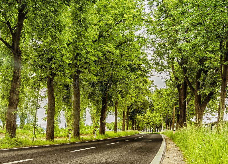 Green Road stock photo. Image of park, path, scene, rural 31547654